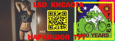 a pvp Краснодар
