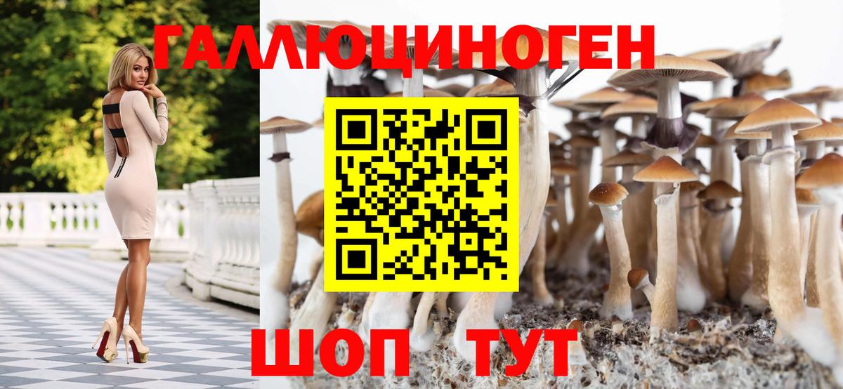 Коломна  Псилоцибиновые грибы мухоморы  Вход с VPN 